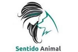 descarga